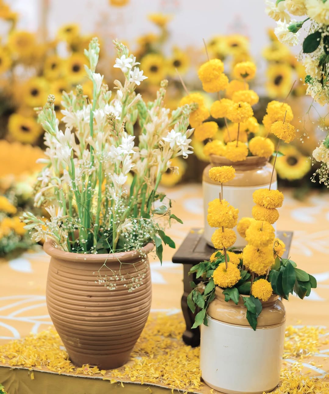 506375249_17858737128433987_3820087690472996403_n